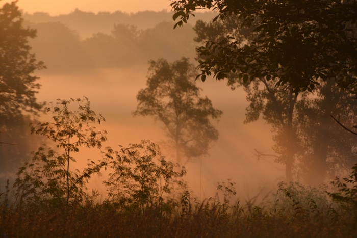 early morning sunrise on the state park grounds